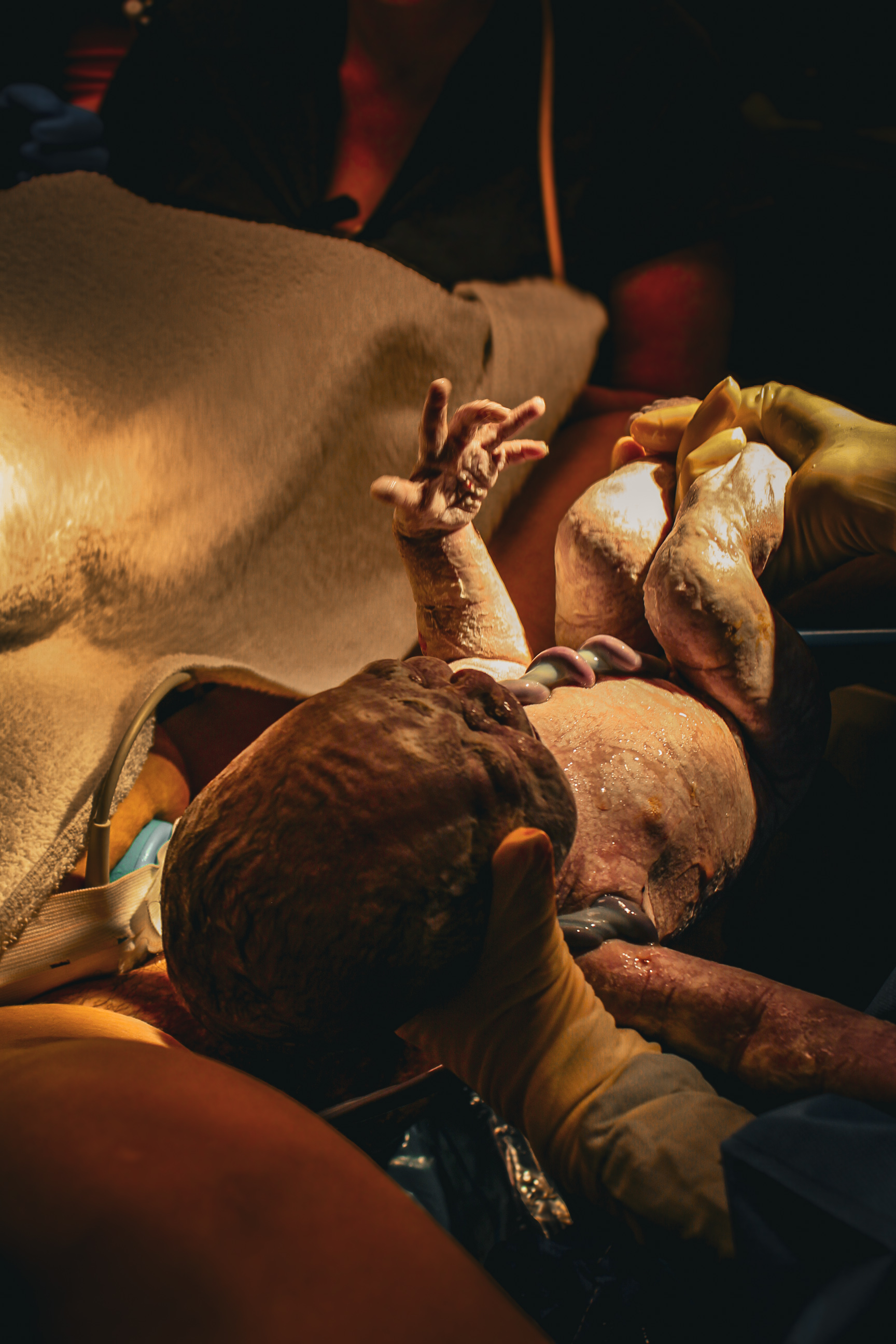 The Miracle of Birth